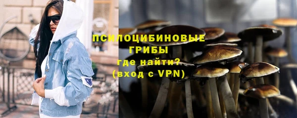 гидра Абдулино