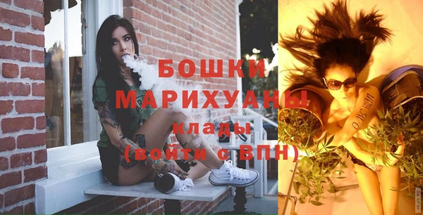 сатива Магадан