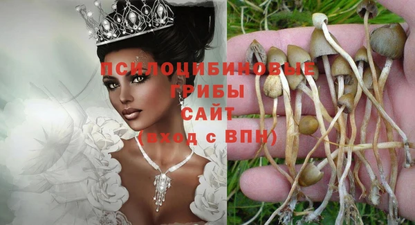 гидра Абдулино
